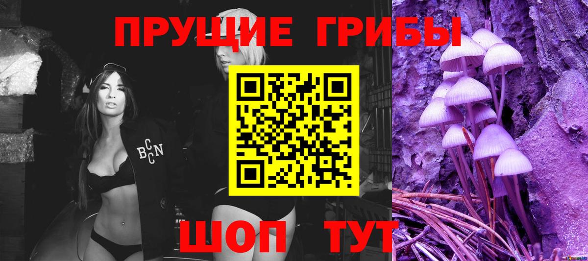 Галлюциногенные грибы Psilocybe Кузнецк