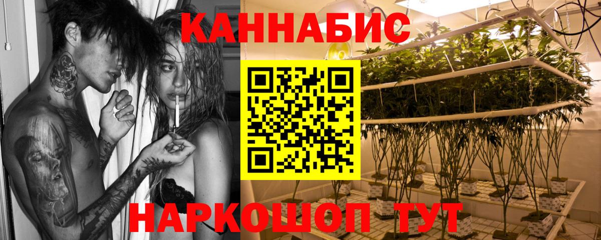 Бошки марихуана THC 21%  Вход с VPN  Кузнецк  Марихуана индика 